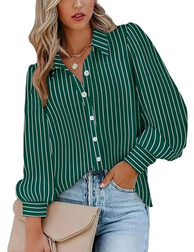 Zeagoo Women's Striped Long Sleeve Button-Down Blouse