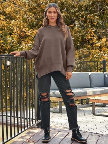2024 Trendy Crewneck Batwing Women's Sweaters
