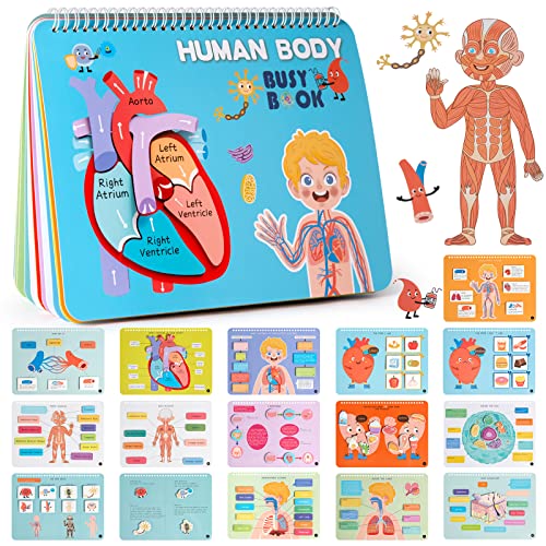 Freebear Busy Book: Human Body Educational Toys for Toddlers