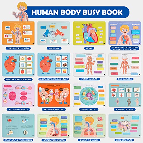 Freebear Busy Book: Human Body Educational Toys for Toddlers