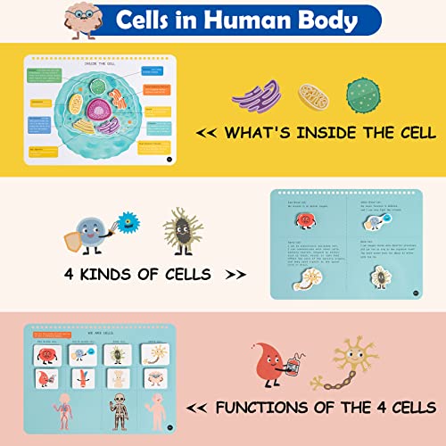 Freebear Busy Book: Human Body Educational Toys for Toddlers