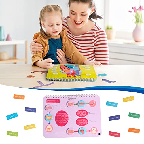 Freebear Busy Book: Human Body Educational Toys for Toddlers