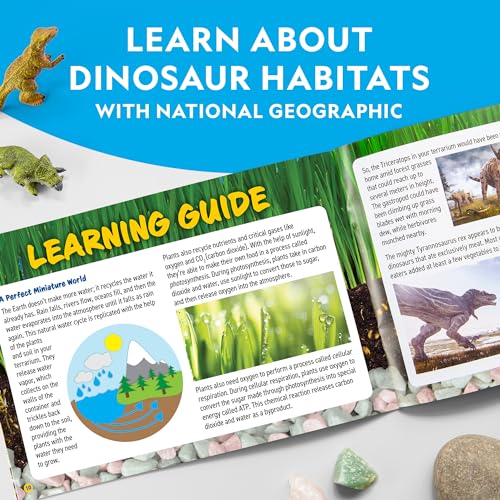 NAT GEO Light Up Dinosaur Terrarium Science Kit