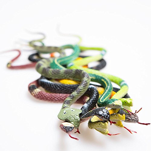 14" Rain Forest Snakes by Rhode Island Novelty