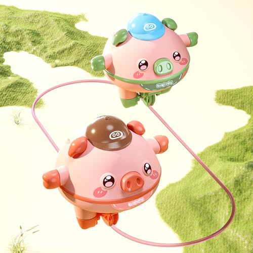 Balanced Pig Unicycle and Gyroscope Fidget Toys