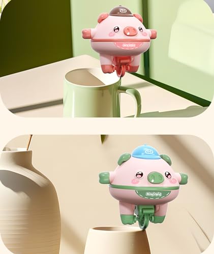 Balanced Pig Unicycle and Gyroscope Fidget Toys