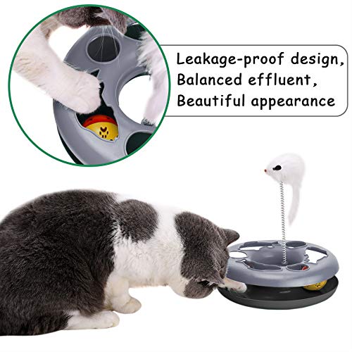 Interactive Cat Toy Roller Track with Catnip Mouse