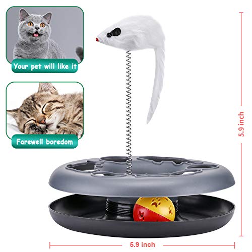 Interactive Cat Toy Roller Track with Catnip Mouse