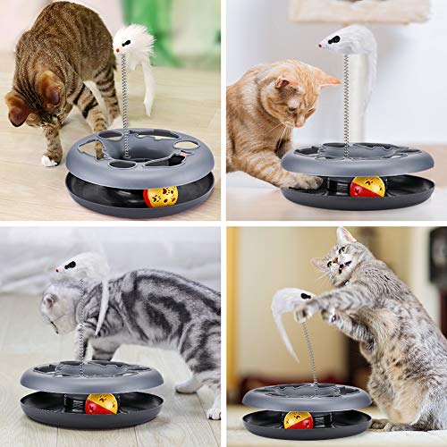 Interactive Cat Toy Roller Track with Catnip Mouse