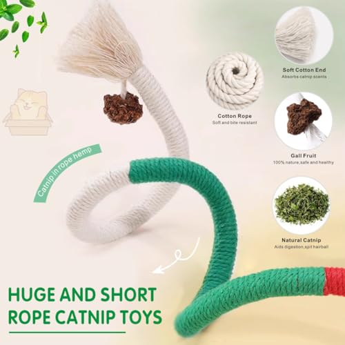 6 Pack Cat Chew Toy with Catnip & Silvervine Sticks for Teeth Cleaning