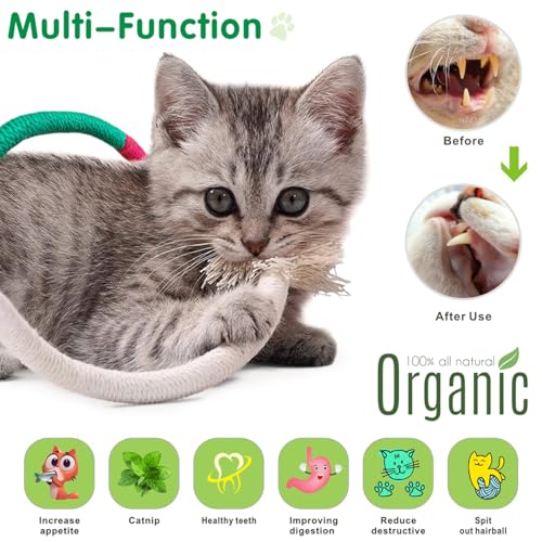 6 Pack Cat Chew Toy with Catnip & Silvervine Sticks for Teeth Cleaning