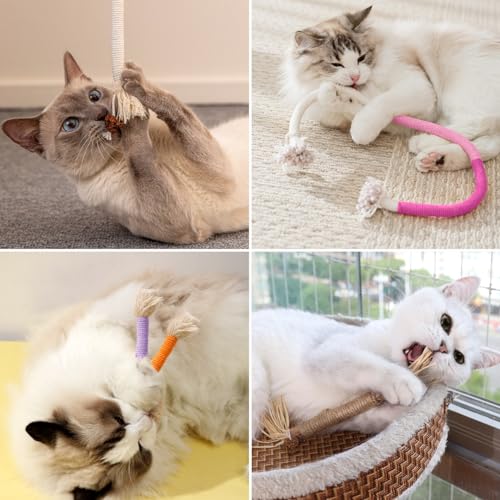 6 Pack Cat Chew Toy with Catnip & Silvervine Sticks for Teeth Cleaning