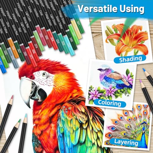 136-Pack Colored Pencils Set with Portable Case