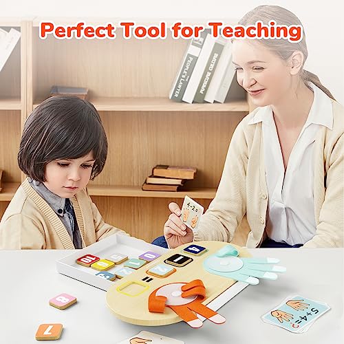 Math Manipulative Toy for Toddler - Educational Montessori Toy