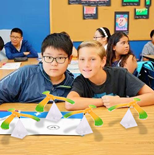 5 PCS Balance Bird Gravity Toy Set