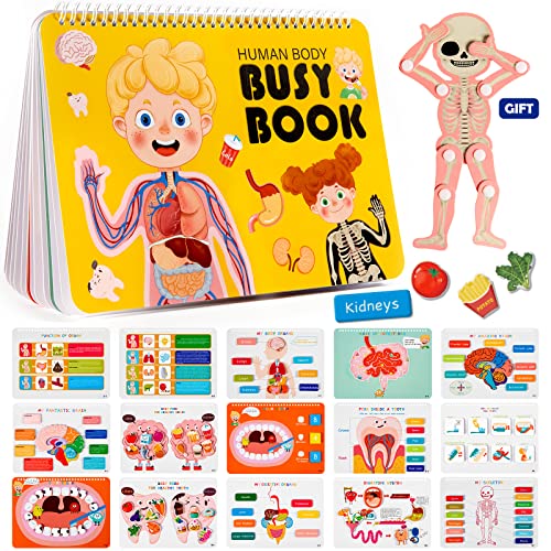 Montessori Busy Book: Human Body Learning Toy