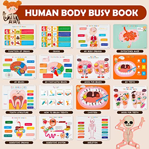 Montessori Busy Book: Human Body Learning Toy