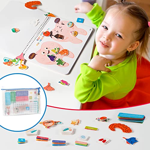 Montessori Busy Book: Human Body Learning Toy