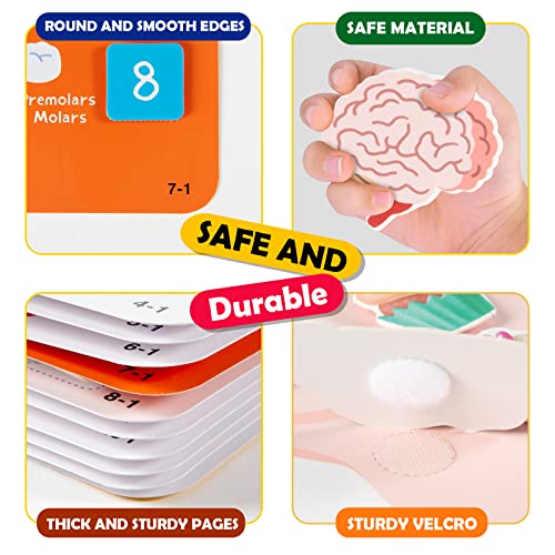 Montessori Busy Book: Human Body Learning Toy