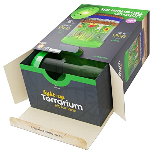 Light-Up Terrarium Kit - STEM Educational Toy