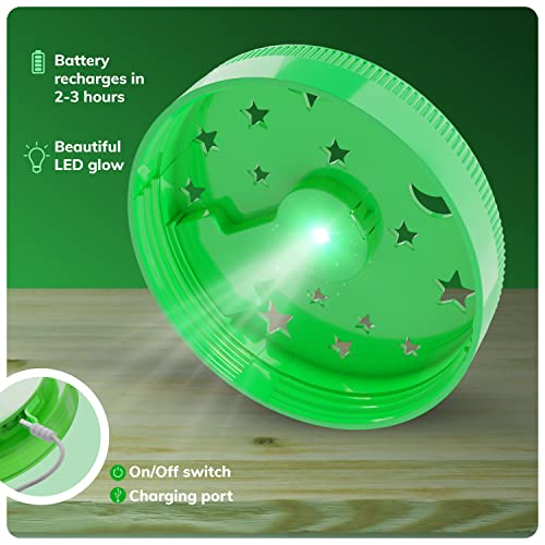 Light-Up Terrarium Kit - STEM Educational Toy