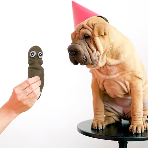 Funny Stretchy Sensory Stress Poo Toys Pack