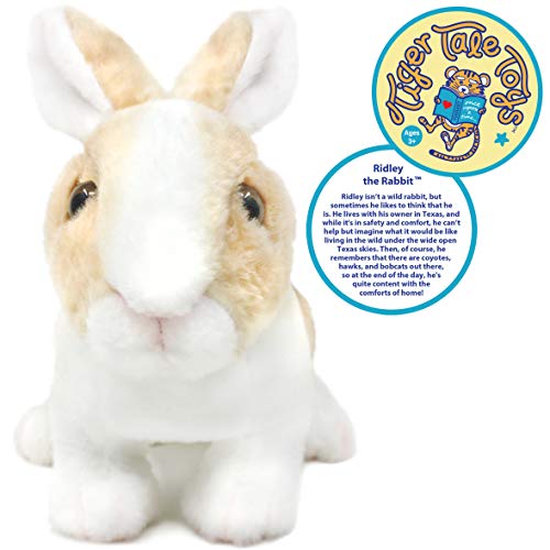 Ridley The Rabbit 11-Inch Plush Stuffed Animal