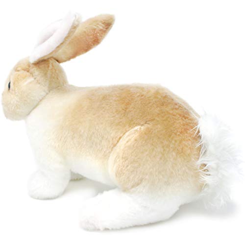Ridley The Rabbit 11-Inch Plush Stuffed Animal