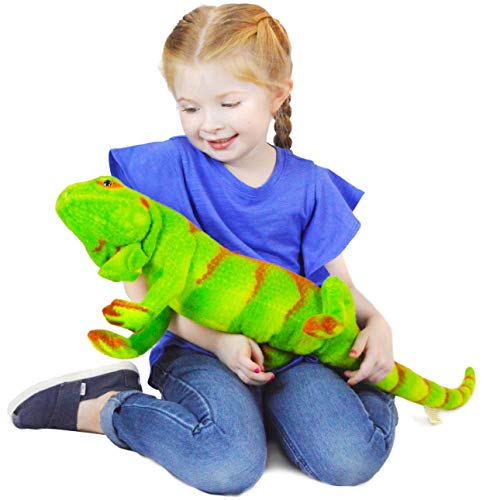 Iago The Iguana - Plush Stuffed Animal 29