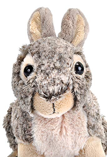 Cuddlekins 8-Inch Bunny Plush Stuffed Animal