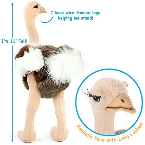 VIAHART Ola The Ostrich Plush Toy - 12 Inch