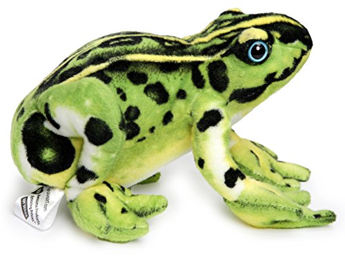 Frisco the Frog Plush Stuffed Animal - 10 Inch