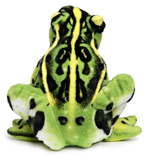 Frisco the Frog Plush Stuffed Animal - 10 Inch