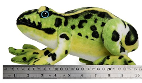 Frisco the Frog Plush Stuffed Animal - 10 Inch