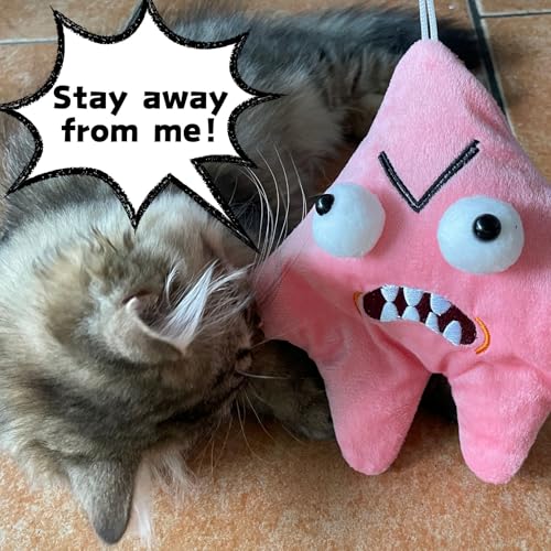 Cute Pink Grumpy Starfish Plush Keychain Toy