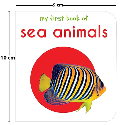 My First Library: 10 Board Books Set