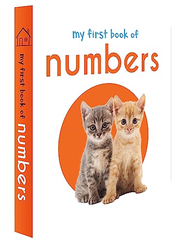 My First Library: 10 Board Books Set