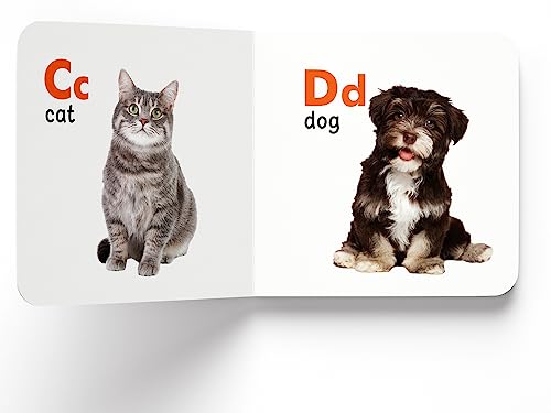 My First Library: 10 Board Books Set