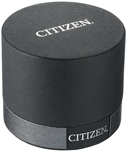 Citizen Classic Silver-Tone Quartz Women's Watch
