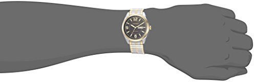 Armitron Men's Two-Tone Expansion Band Day/Date Watch
