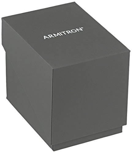 Armitron Men's Two-Tone Expansion Band Day/Date Watch