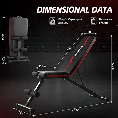 Adjustable Weight Bench for Full Body Workout
