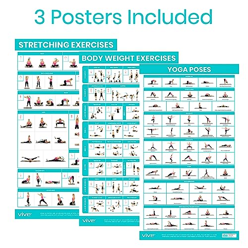 Vive Workout Posters 3 Pack - Fitness Guide