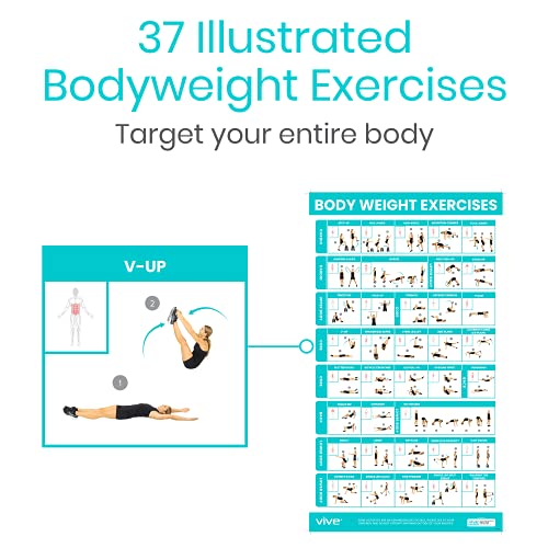 Vive Workout Posters 3 Pack - Fitness Guide