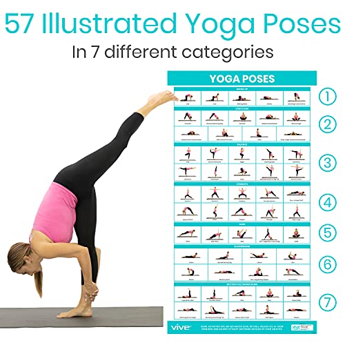Vive Workout Posters 3 Pack - Fitness Guide