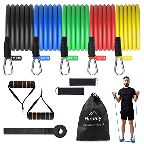 Himaly Resistance Bands Set for Strength Training