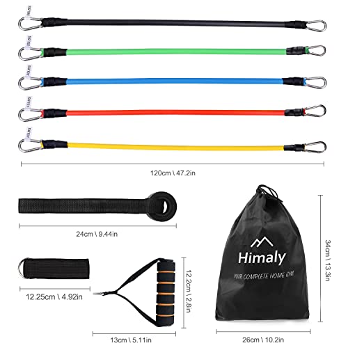 Himaly Resistance Bands Set for Strength Training