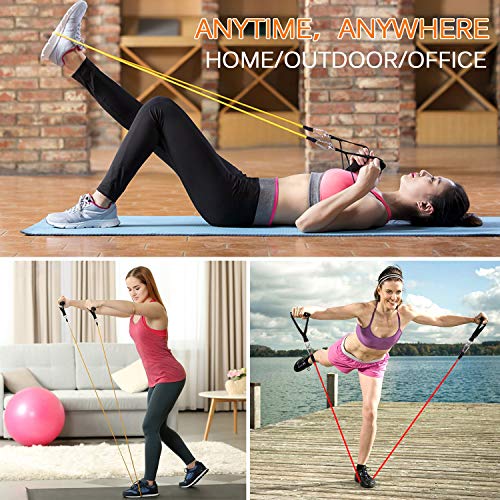 Himaly Resistance Bands Set for Strength Training