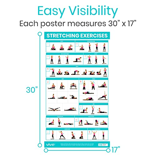 Vive Workout Posters 3 Pack - Fitness Guide