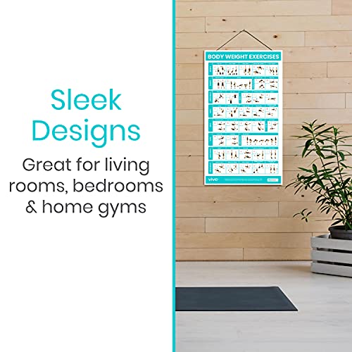 Vive Workout Posters 3 Pack - Fitness Guide